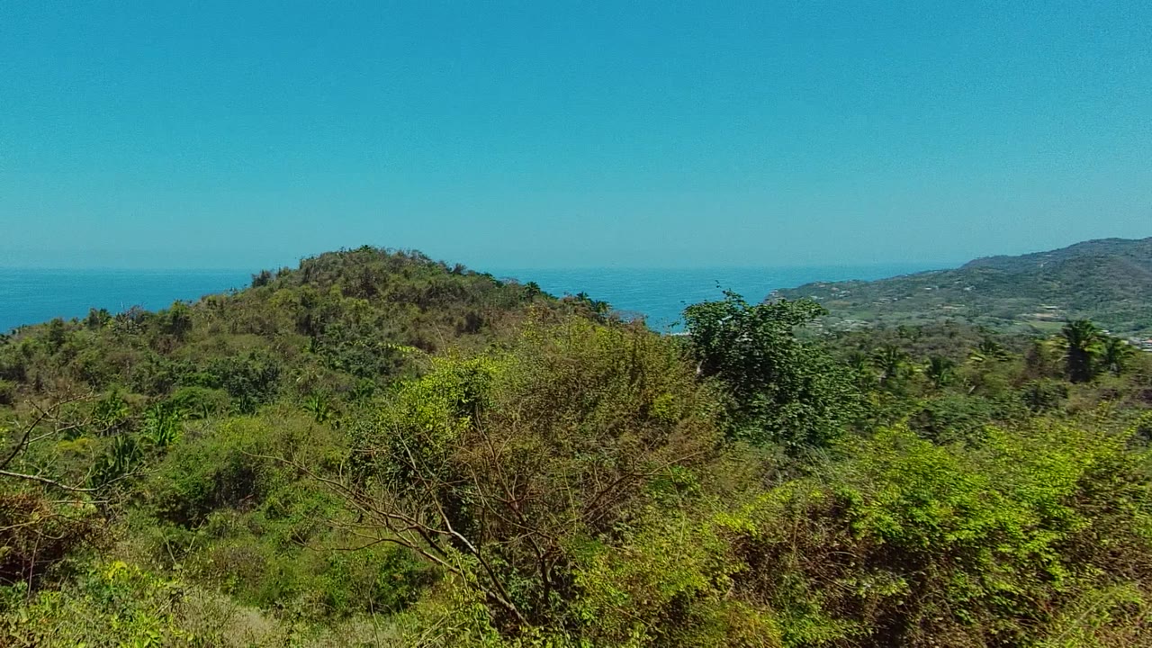Brushy hilltop landscape with blue ocean behind it.