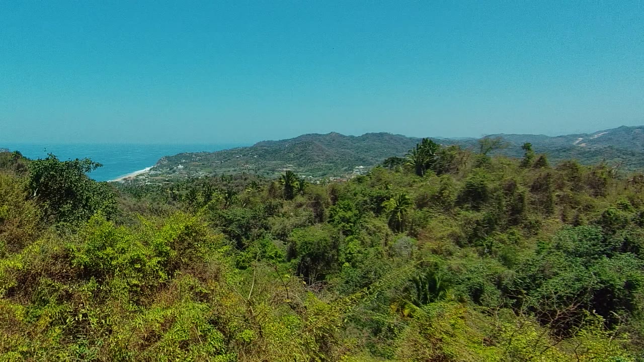 Opening view over dense green vegetation in San Pancho, Nayarit, with coastal hills, a strip of beach, blue ocean, and no visible people.