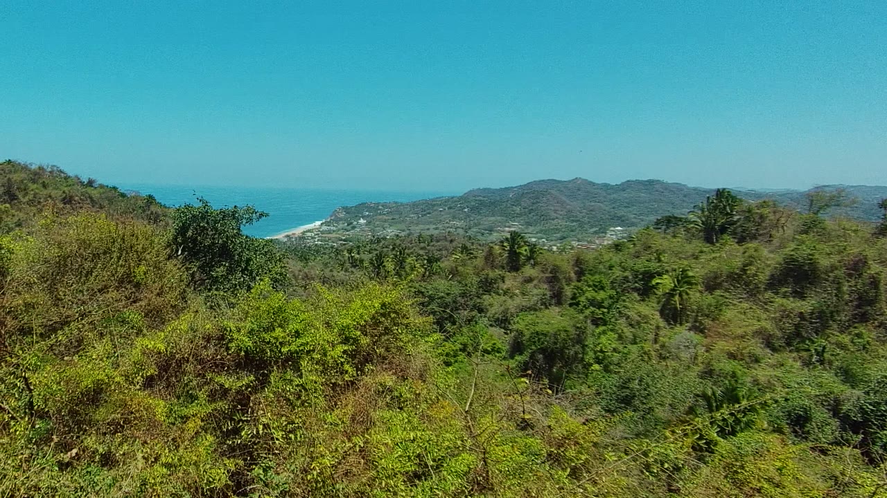 Tree-covered foreground with hills and ocean visible beyond the coastline.