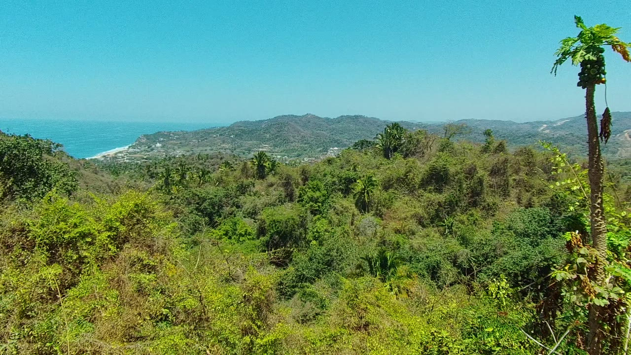 Elevated San Pancho, Nayarit landscape with dense foreground foliage, distant coastal mountains, blue ocean, beach, clear sky, a tall plant at the right edge, and no visible people.