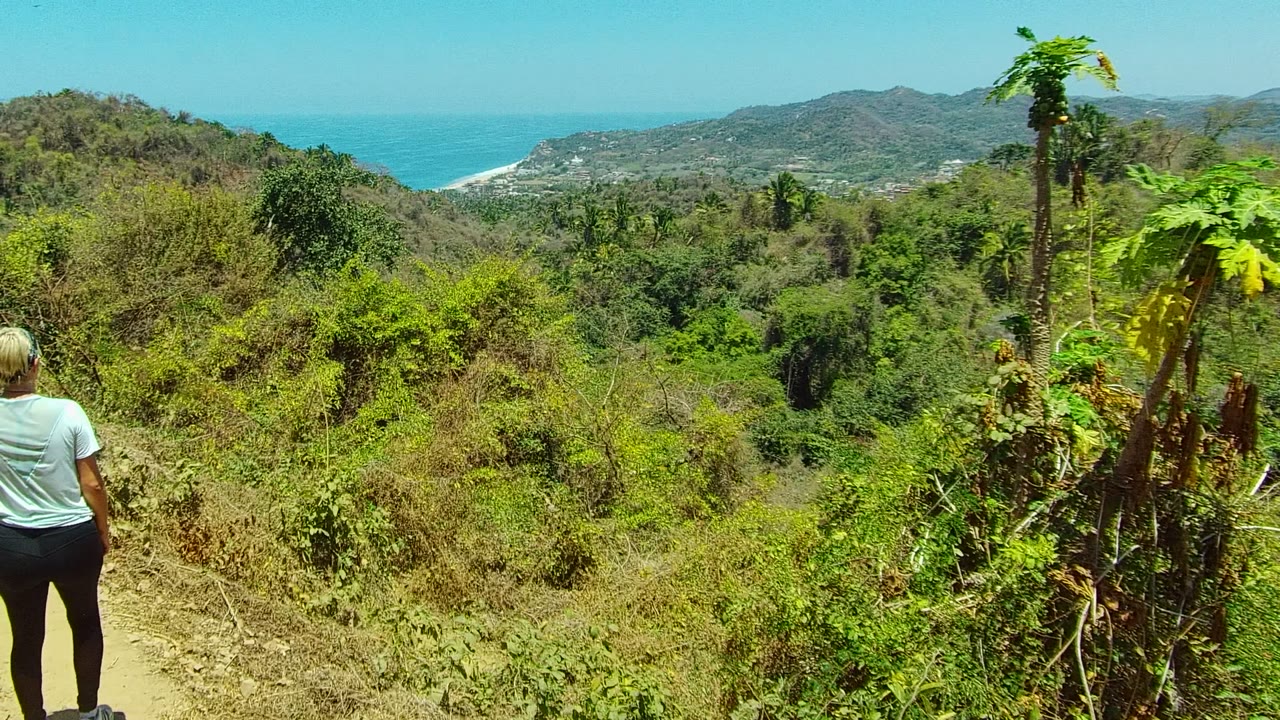 Hiker seen from behind on a forest trail overlooking the ocean.