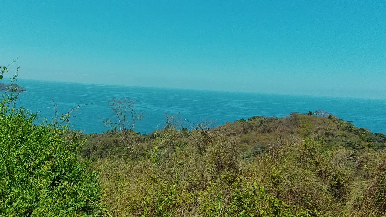 Green brush and dry hillside with blue ocean beyond.