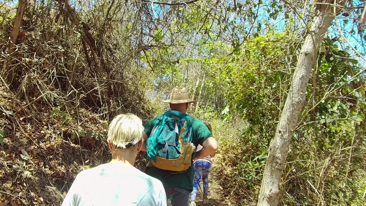 Two hikers are seen from behind on the San Pancho trail, framed by pale tree trunks, dry vines, green leaves, and bright sky.