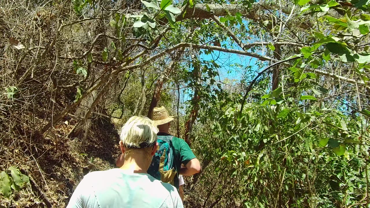 Two hikers walk away on a shaded dirt trail in San Pancho, Nayarit, with the blond-haired hiker close to camera and a hat-wearing hiker ahead under leafy branches.