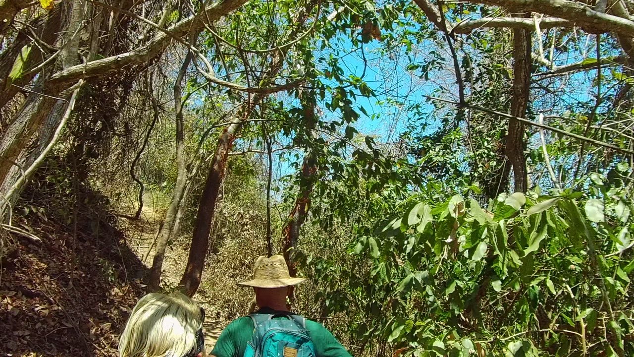 A hat-wearing hiker with a backpack leads down the San Pancho dirt trail while the second hiker remains lower in frame, with tangled branches and green leaves overhead.