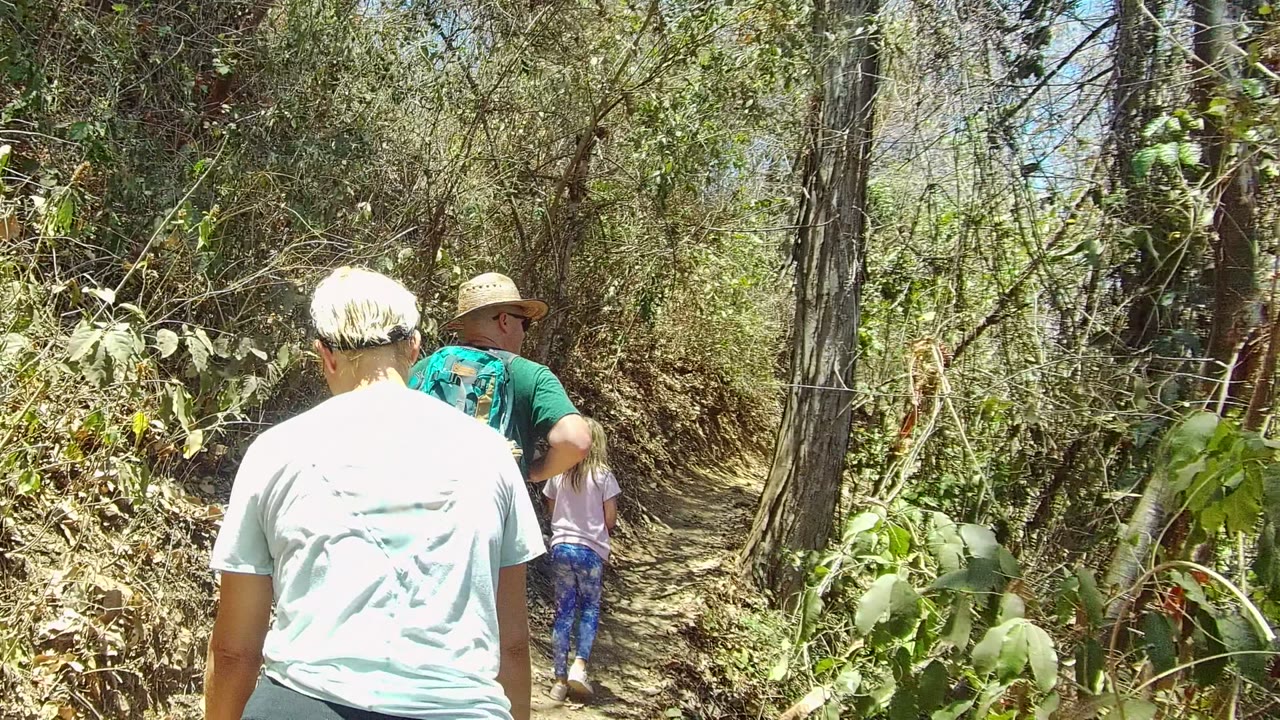 In San Pancho, Nayarit, Mexico, hikers walk away along a narrow overgrown forest path, with a child visible ahead among dry leaves and dense brush.