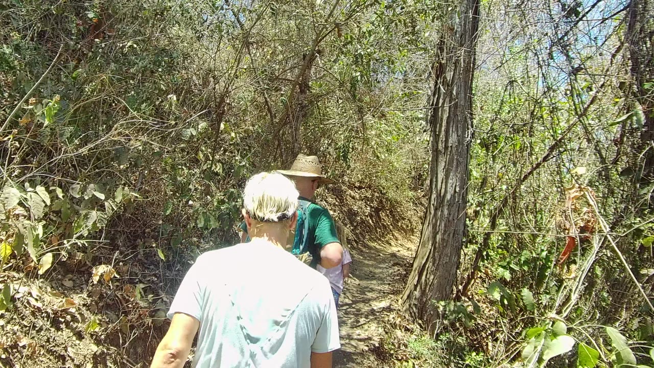 Two adult hikers continue along a brushy forest trail.