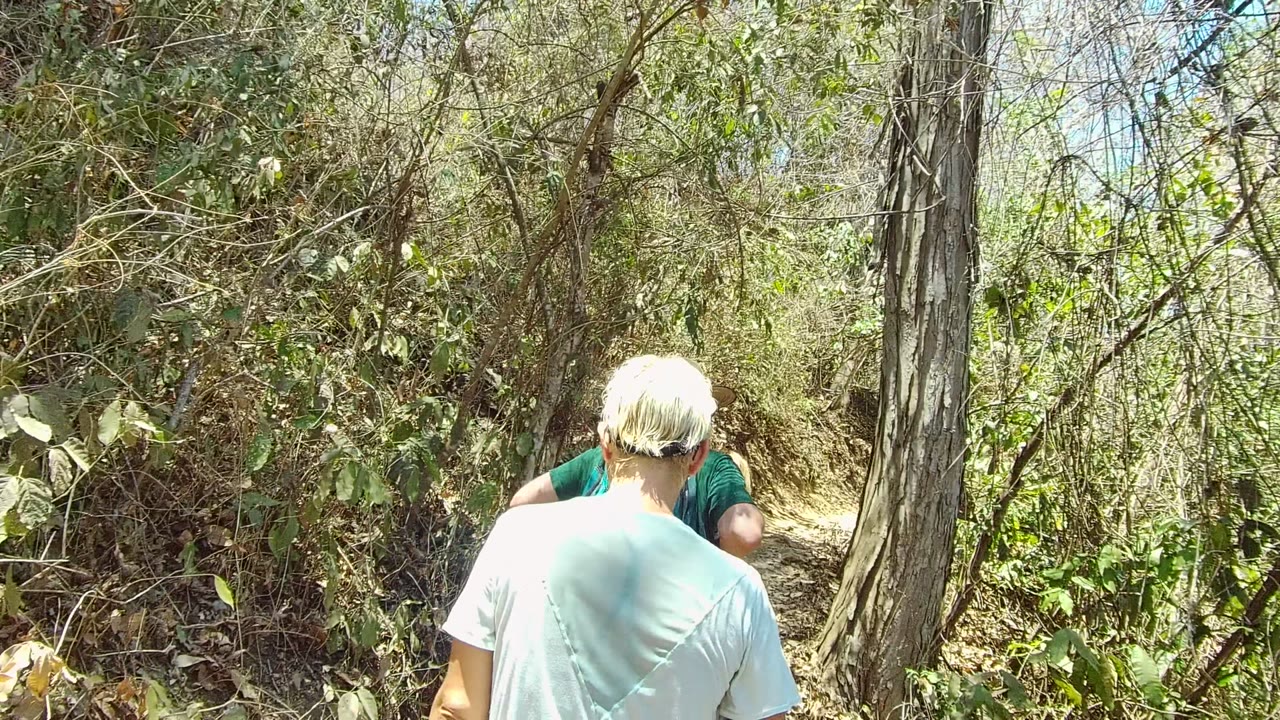 The hikers remain visible from behind in the San Pancho forest, partly blocked by branches and leaves as the trail becomes more enclosed.