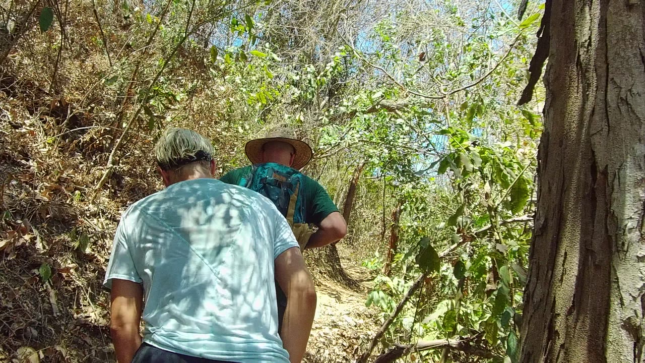 Two hikers walk away from the camera on a narrow forest trail in San Pancho, Nayarit, with a large tree trunk and dry brush beside the path.