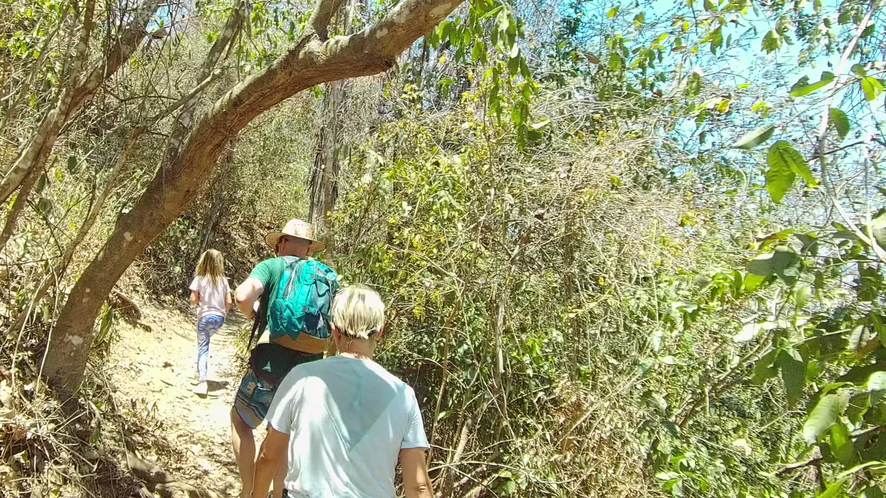 Hikers continue up a leafy dirt path under branches.