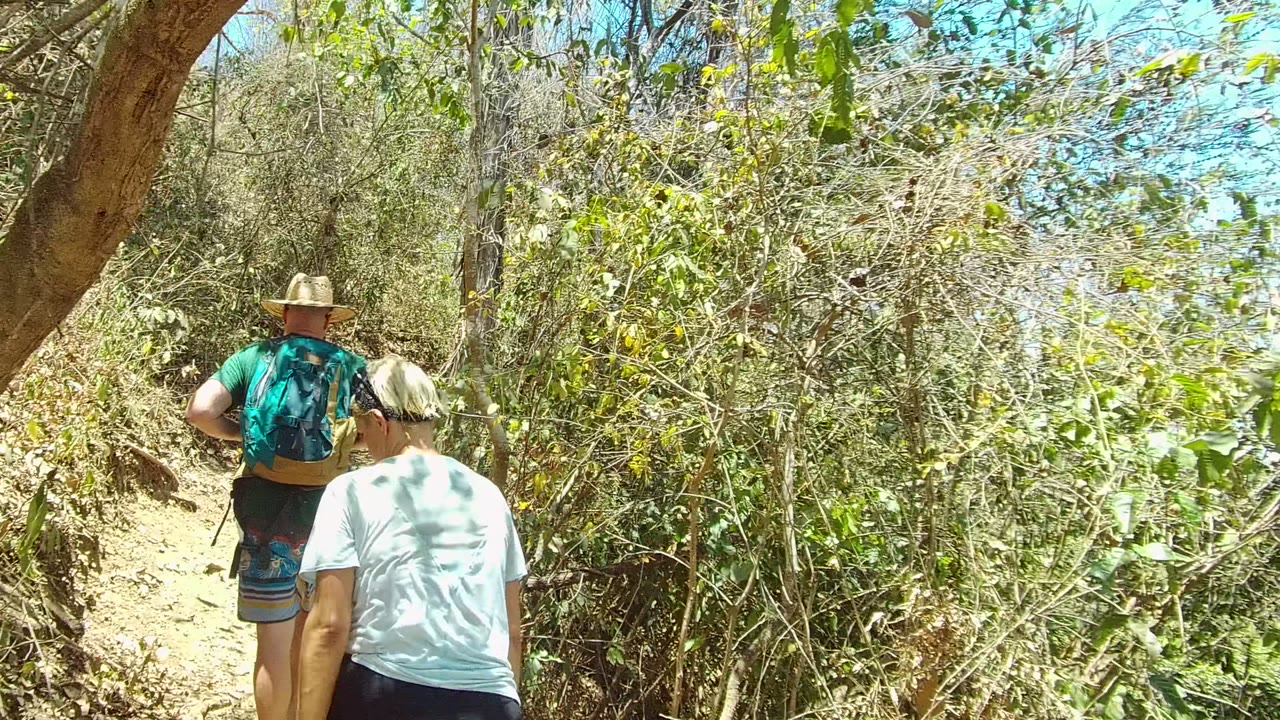 Two adults and a child are seen from behind on the San Pancho dirt trail, with bright sun patches on clothing and dense green foliage around the path.