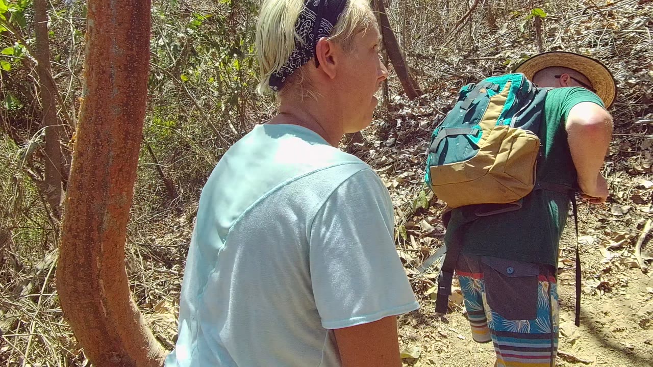 The light-shirted hiker is seen in side profile on the dry forest path in San Pancho, Mexico, with tangled branches and sunlit foliage behind.