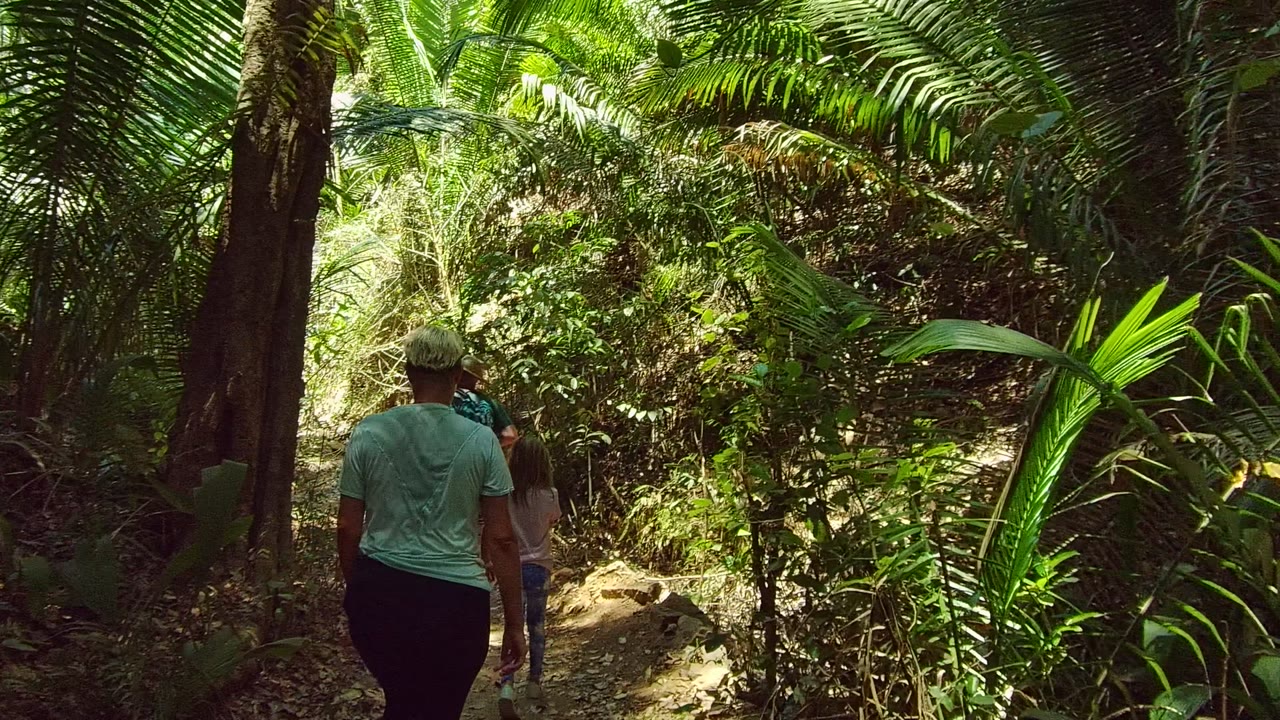 Two walkers are visible from behind in San Pancho, Nayarit, Mexico, following others along a narrow path bordered by thick palms and brush.