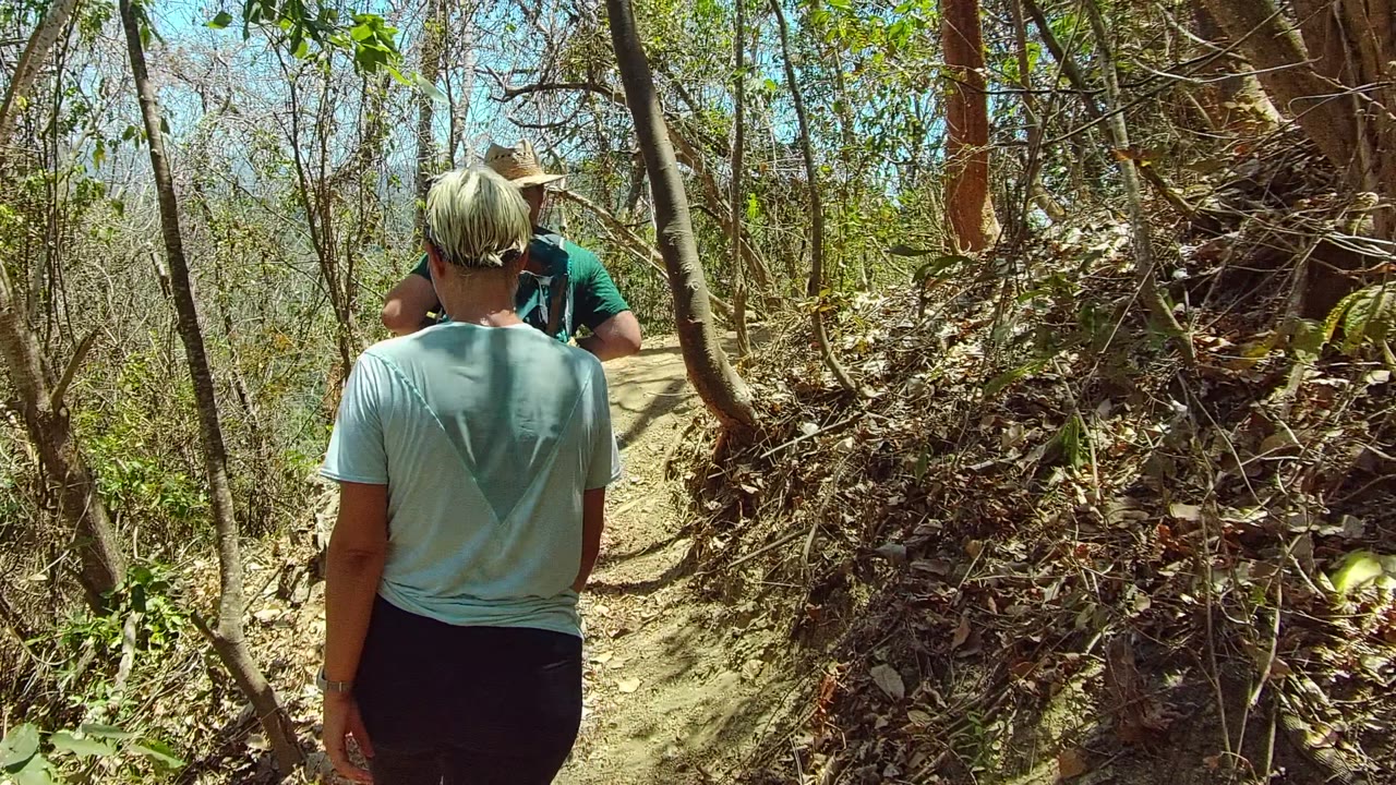 Two adults are seen from behind on a narrow dirt trail in San Pancho, Mexico, with dry leaves, thin trees, and bright sun around the path.
