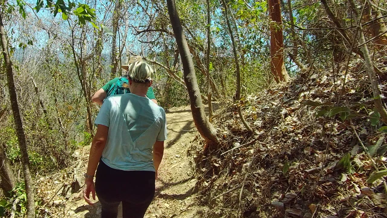 Hikers continue along a dusty trail bordered by dry leaves and trees.