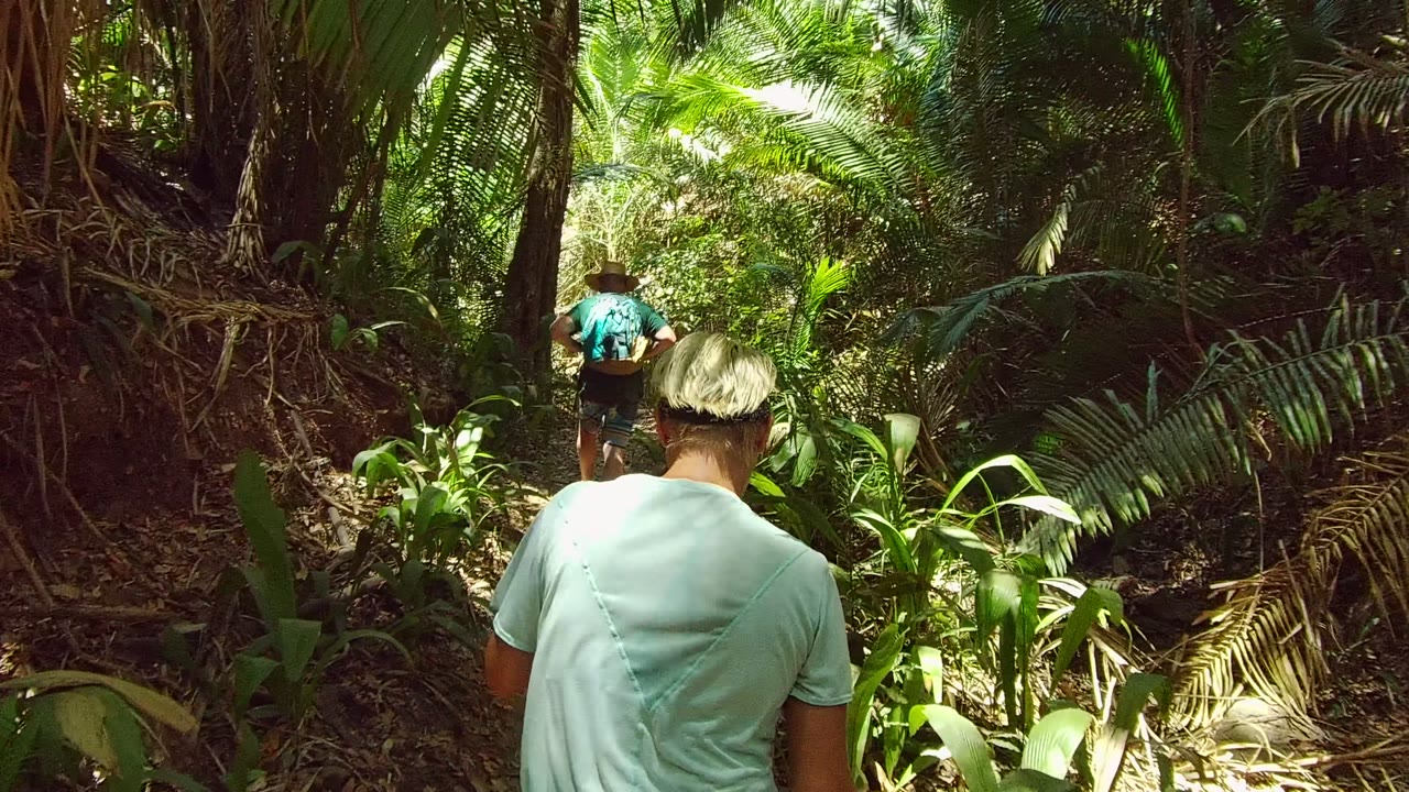 Two people walk away along a narrow forest path in San Pancho, Nayarit, Mexico, with the nearer hiker in a pale shirt and cap and the lead hiker in a dark shirt ahead.