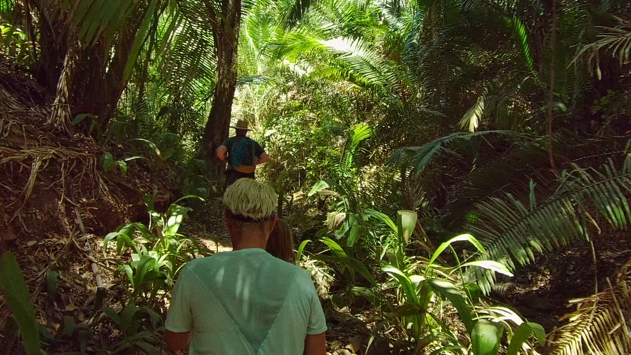 Trailing hiker centered behind a lead hiker on a forest trail