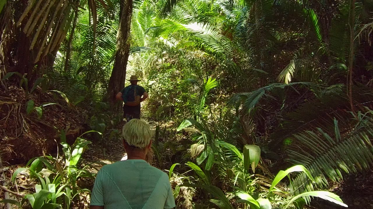 The two hikers continue away into a darker leafy corridor in San Pancho, Nayarit, with bright green plants catching sunlight along the right side of the path.