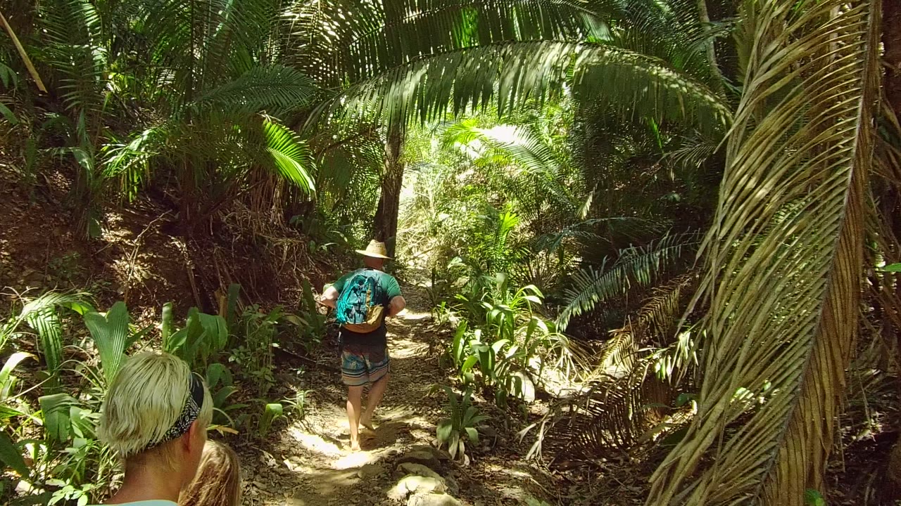 In San Pancho, Nayarit, hikers walk away along a shaded dirt trail, with the backs of a blond adult and a child in the foreground and dense palms overhead.