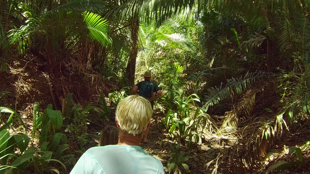 In San Pancho, Nayarit, the rear hikers remain close to the camera while a hiker in a hat leads along a brighter section of the narrow trail under palm fronds.