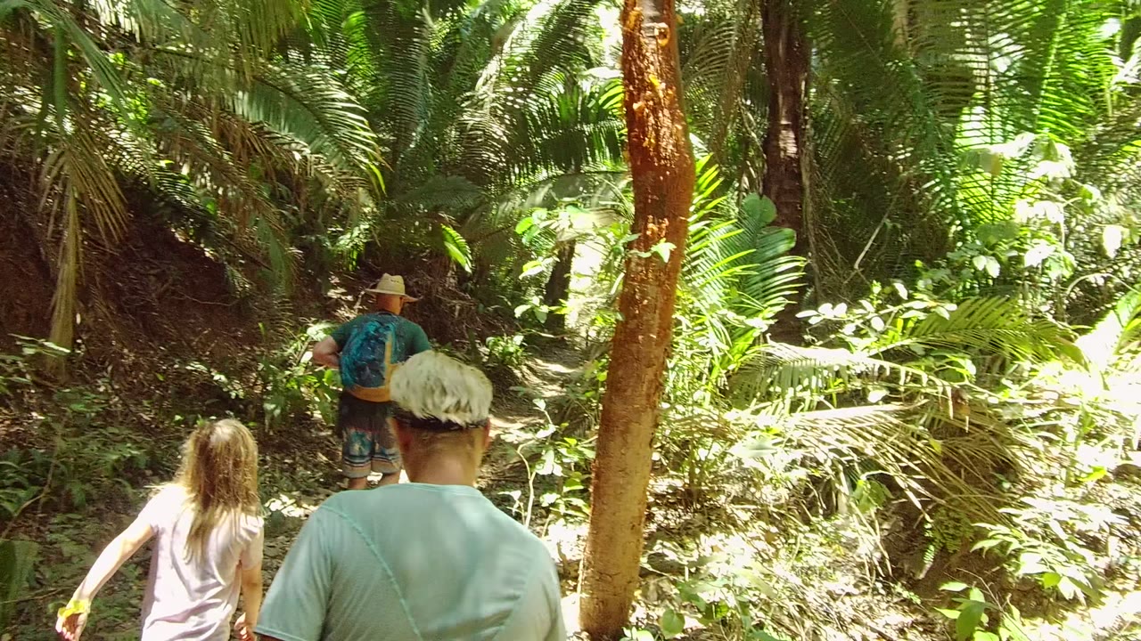 Hikers seen from behind walk along a narrow forest trail in San Pancho, Nayarit, Mexico, with a child at left and dense green foliage around the path.