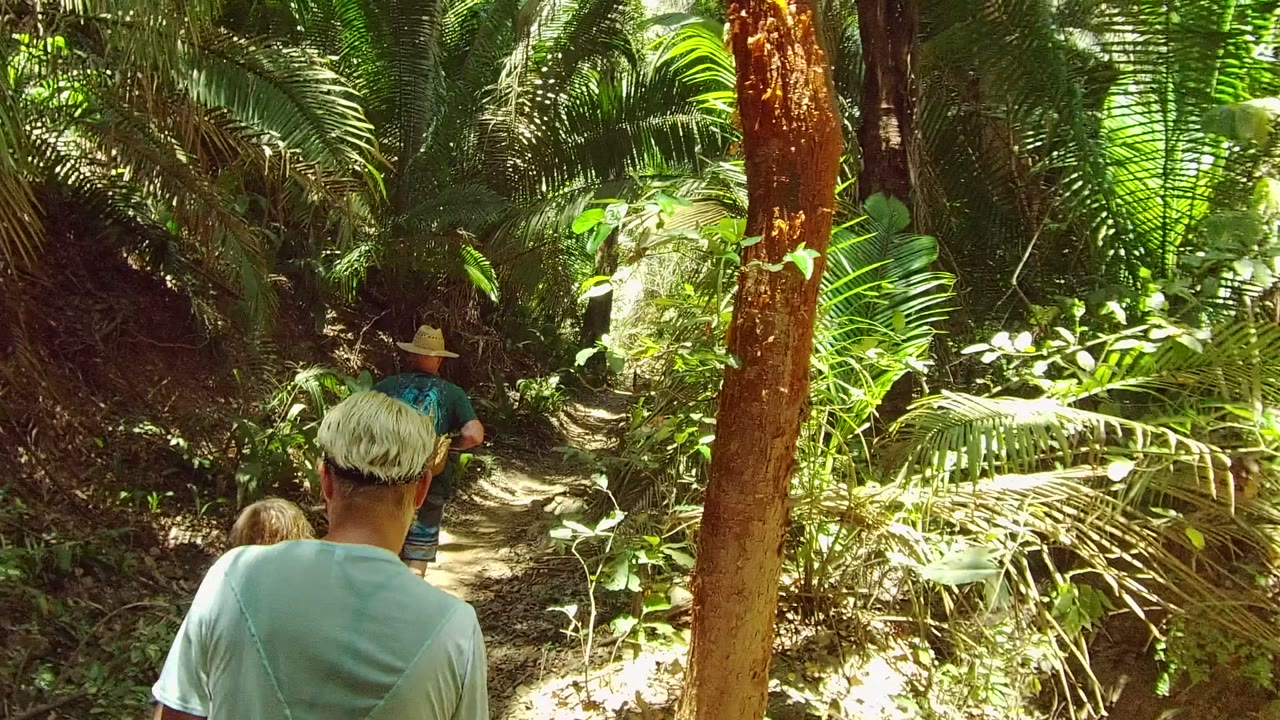 Two hikers ahead on a narrow green trail