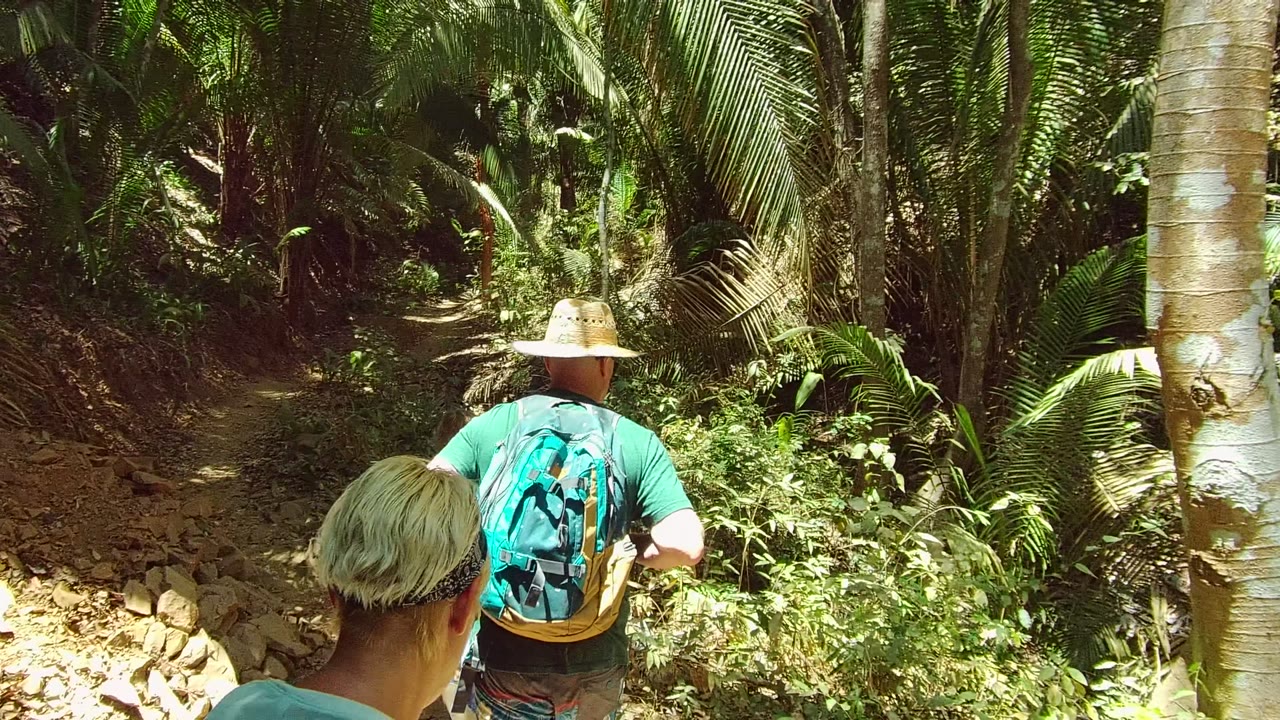 A man with a teal backpack and straw hat leads a small group along a shaded dirt trail in San Pancho, Mexico, with palms and dense greenery around them.