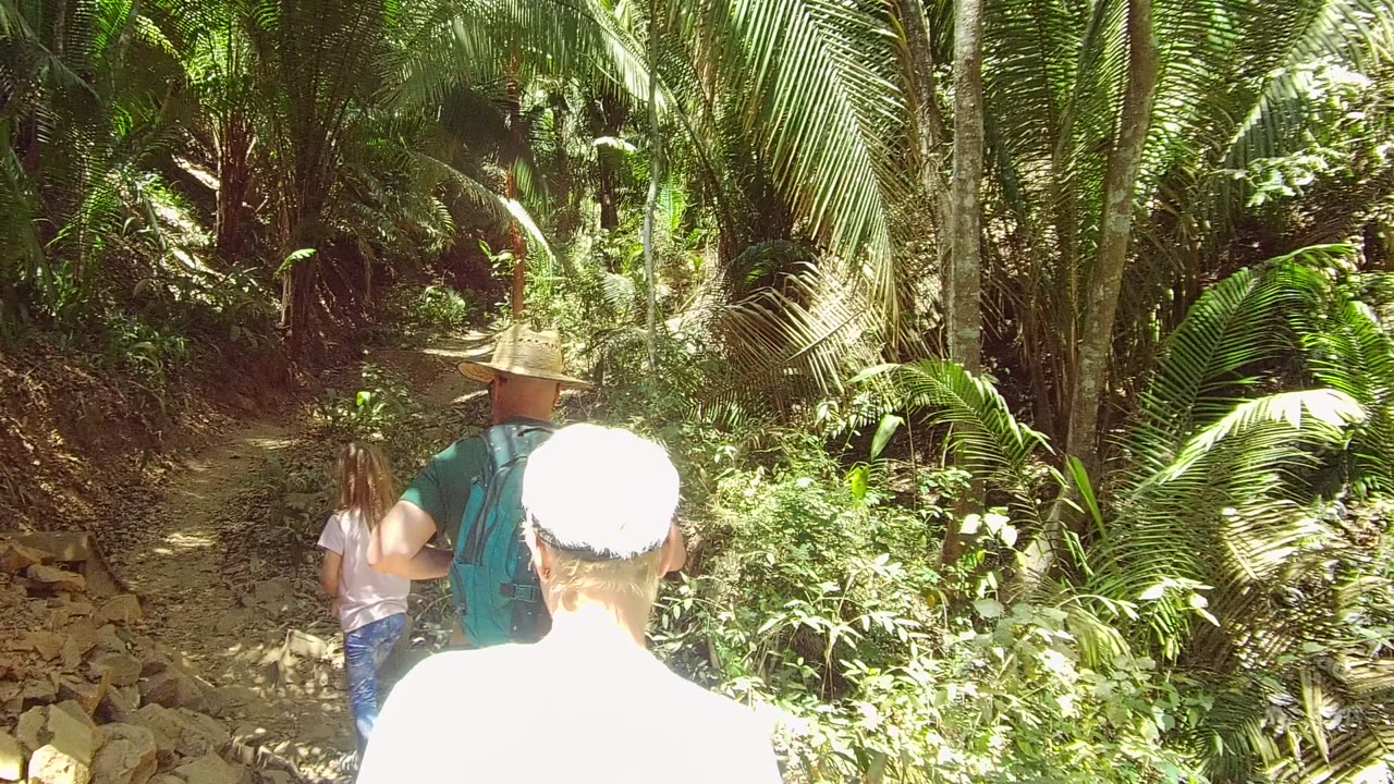 Child and adults walking deeper into dense greenery