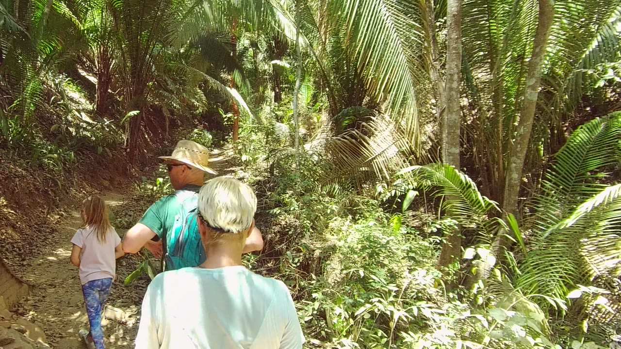 A rear view of the hikers in San Pancho, Mexico shows the man gesturing near the trail while the child walks ahead and palm fronds fill both sides of the frame.