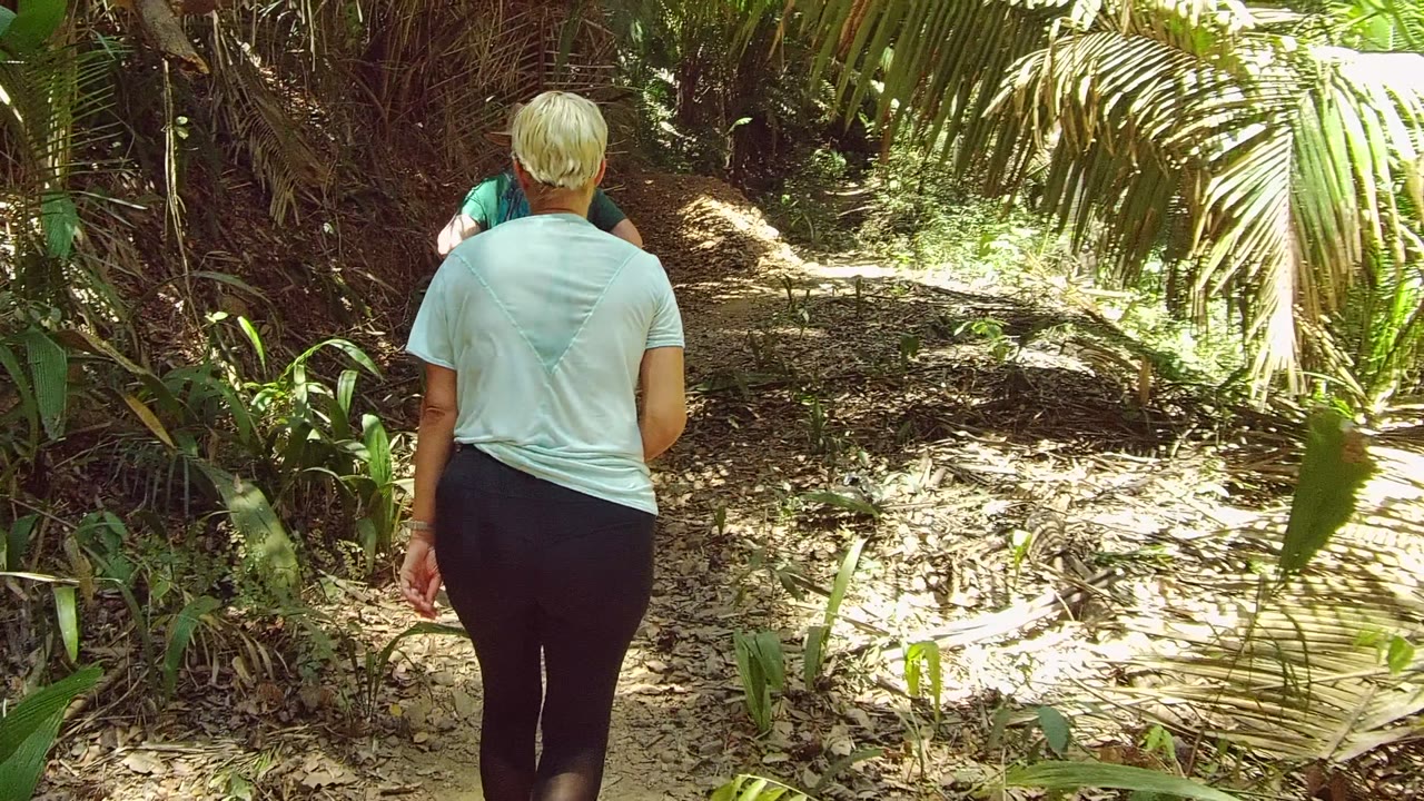 An adult with short light hair walks away from camera on a narrow forest trail in San Pancho, Nayarit, with dense palms and dappled sunlight around the path.