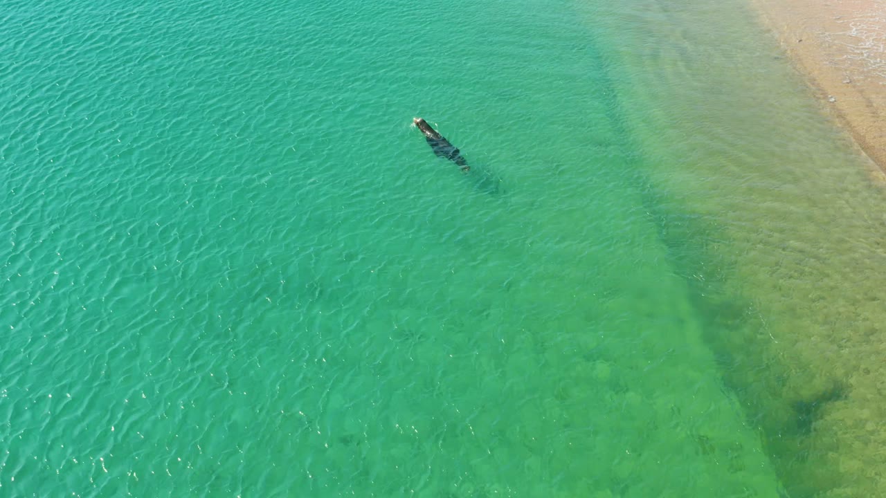 Overhead view at Los Frailes Los Cabos showing clear turquoise water, sandy shallows at the upper right, and a small swimmer-like dark figure with no recognizable face visible.