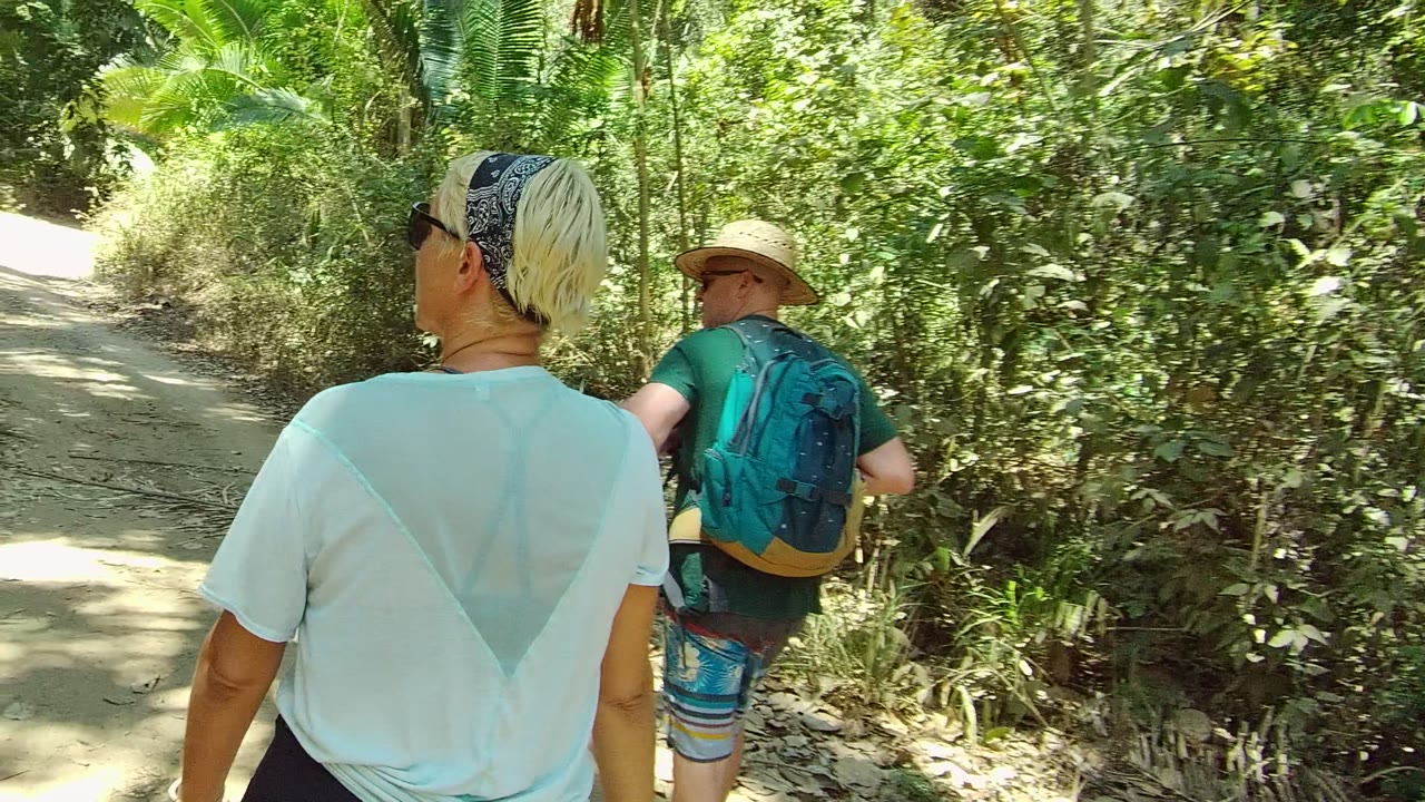 Two walkers seen from behind on a green forest trail.