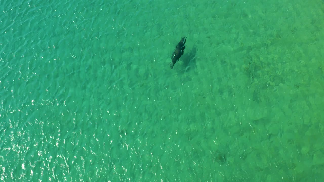 Overhead frame from Los Frailes, Los Cabos showing one person small in the upper water area, surrounded by clear turquoise shallows and fine ripple texture.