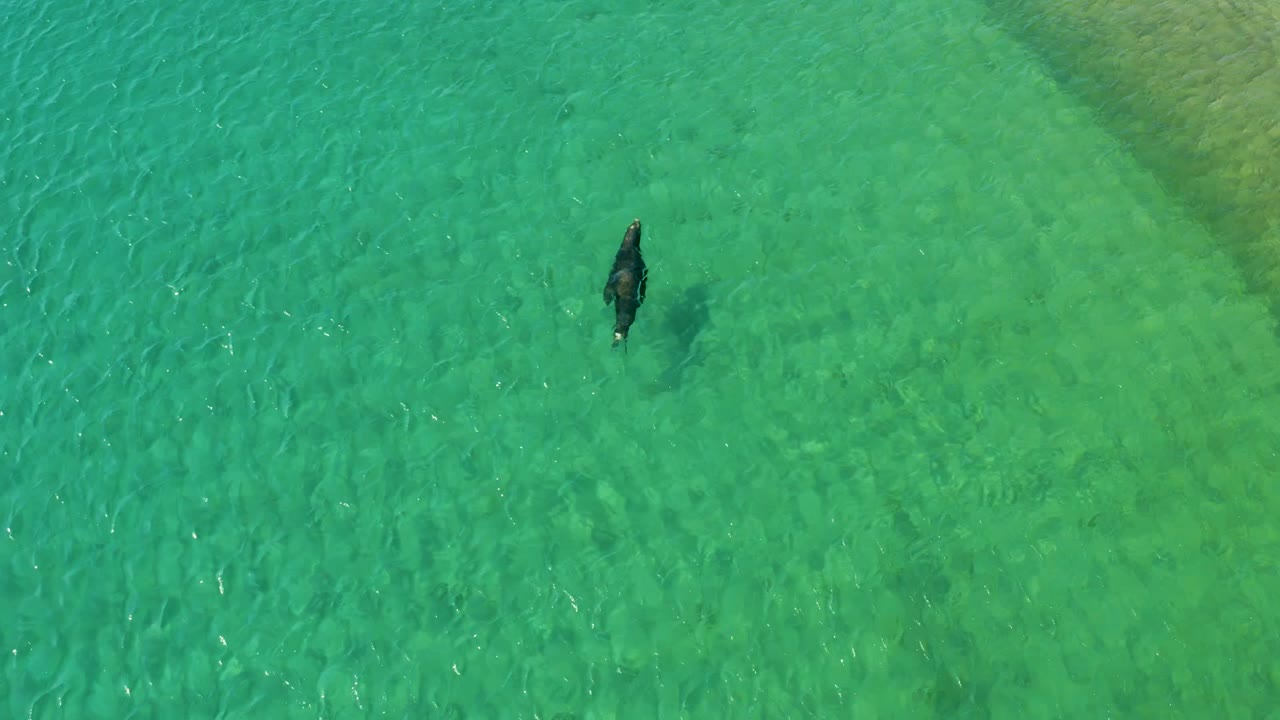 Overhead Los Frailes frame with one person in clear water and a faint sandy shallows gradient beginning to show toward the right side of the image.