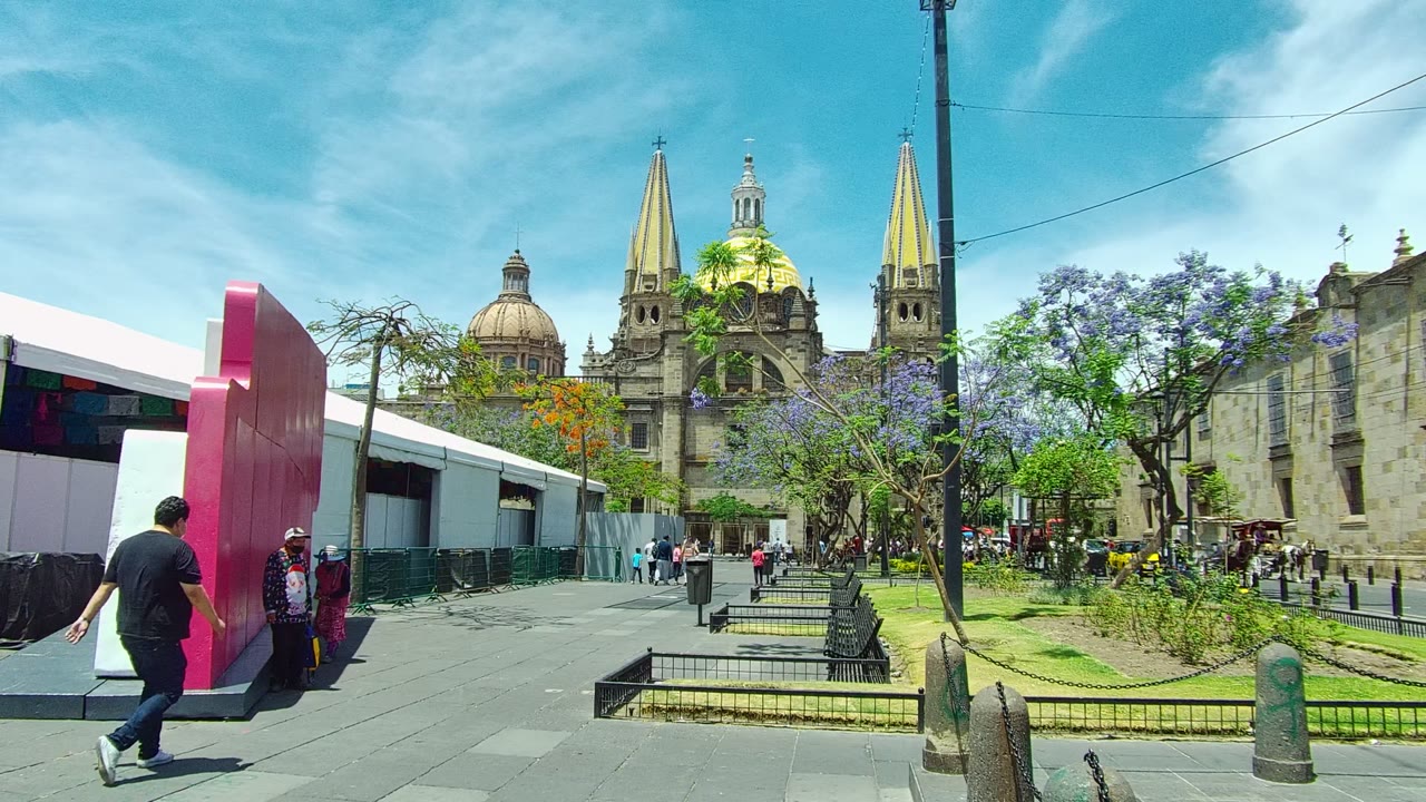 A man crosses the foreground in Guadalajara, Mexico as the plaza, pink and white structure, flowering trees, and cathedral domes and spires remain visible in bright daylight.