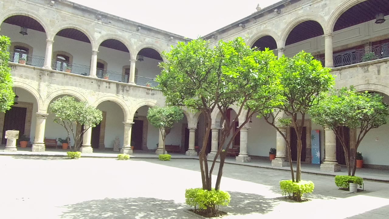 Arched courtyard with trees and potted plants in strong sunlight.