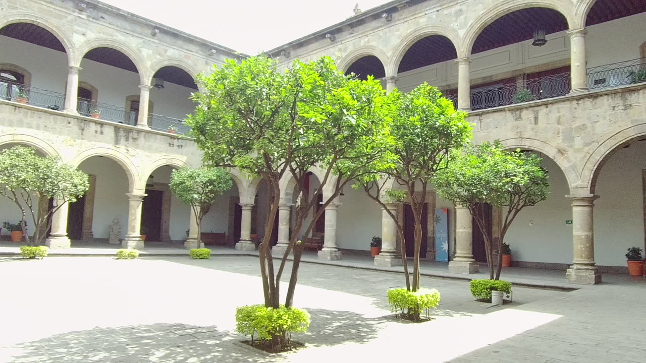 Wide Guadalajara courtyard view showing leafy trees in the middle, arched stone corridors behind them, bright sun on the ground, and no visible people.