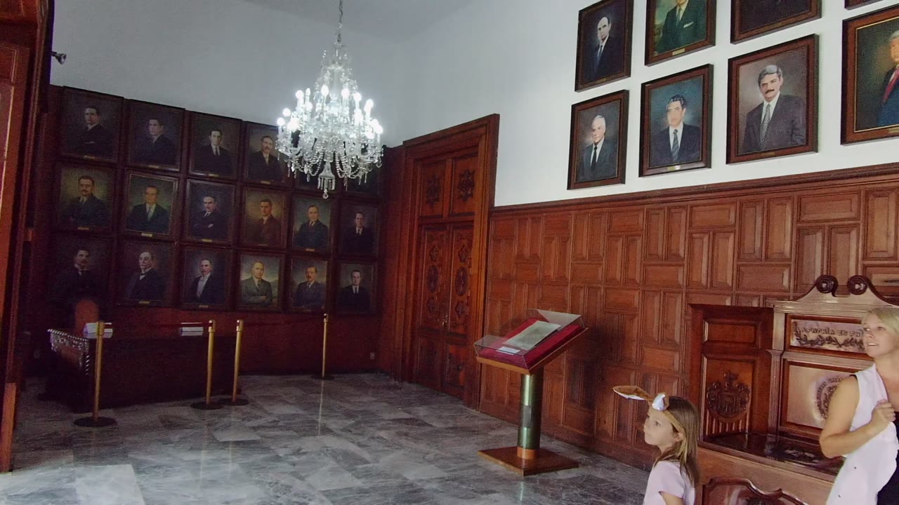 Portrait room with chandelier and visitors moving along the lower right.