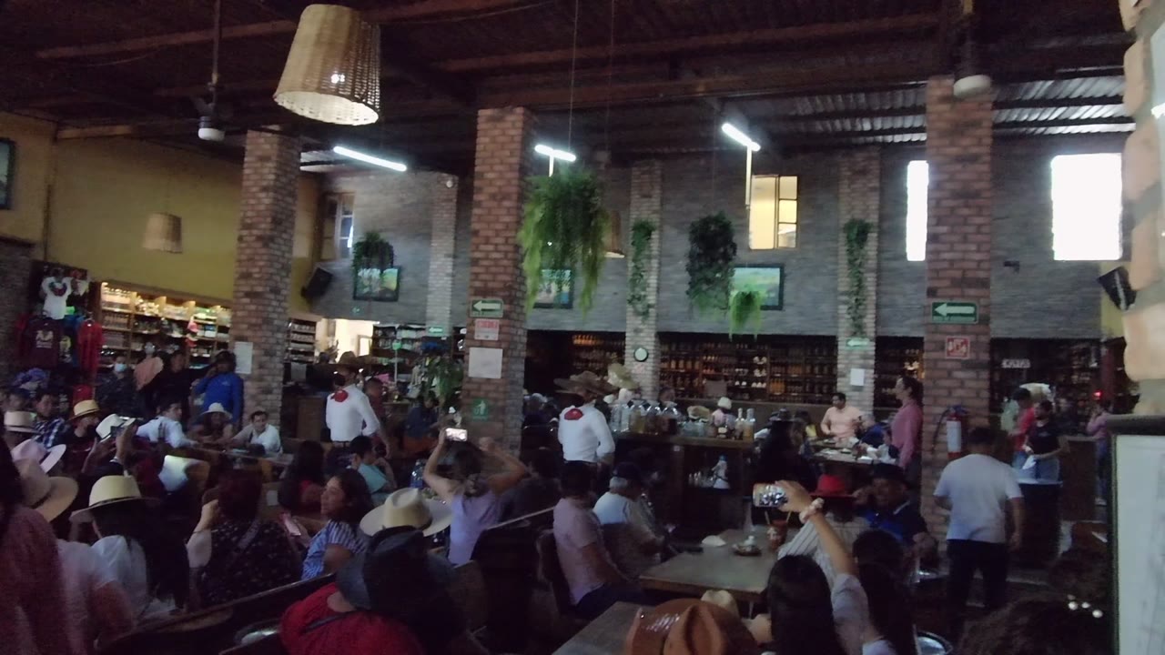Wide interior view in Tequila, Jalisco showing seated patrons, standing people, brick columns, hanging lamps, wall plants, and shelves at the back of the room.