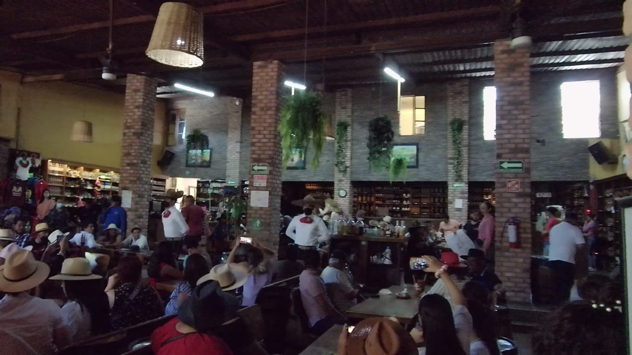Wide view of a dim indoor social space in Tequila, Jalisco with patrons at tables, people clustered near the back, brick columns, hanging lamps, plants, and bright window openings.