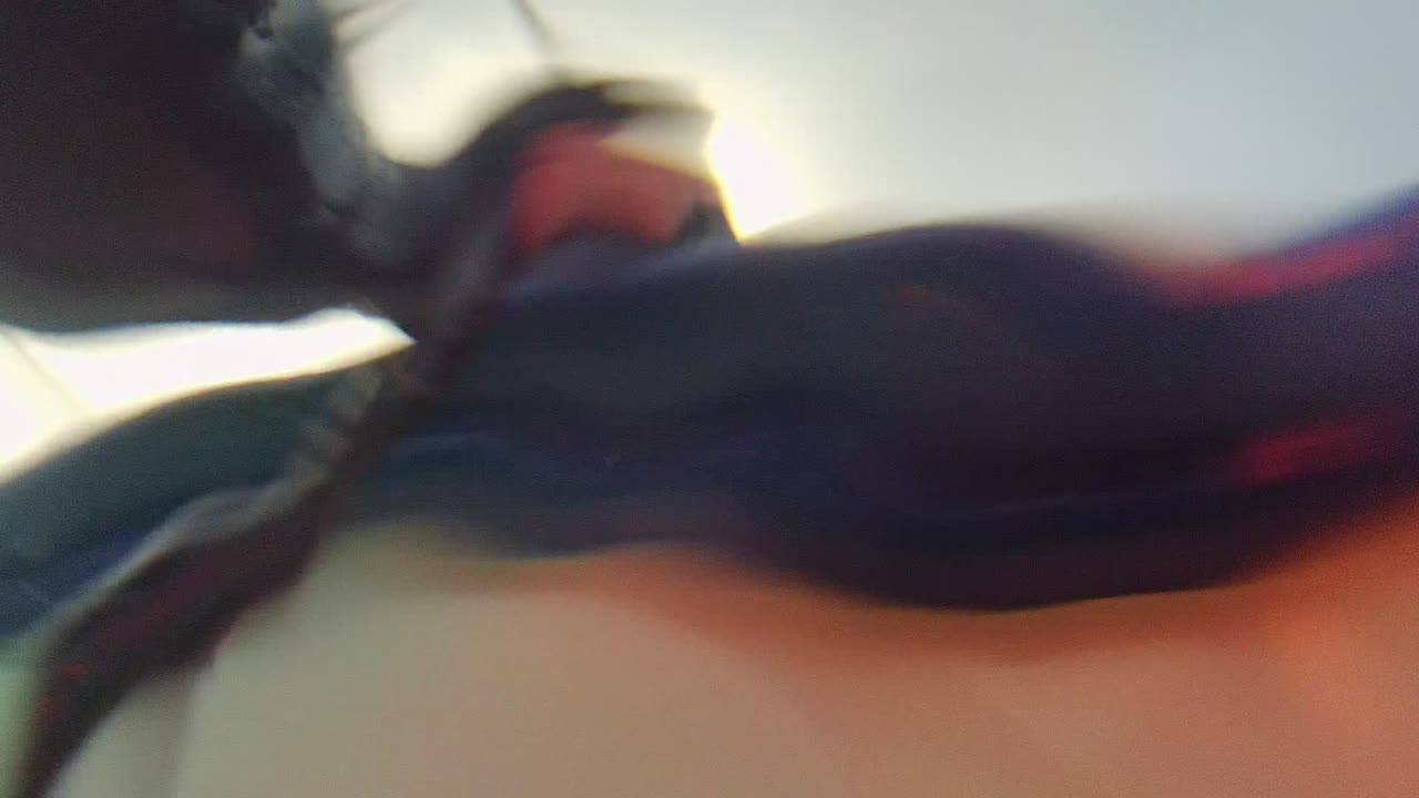 Blurred underwater close-up of a wetsuited swimmer moving past the camera.