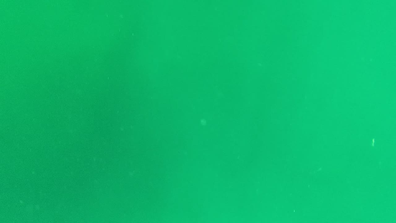 Open green water with faint particles