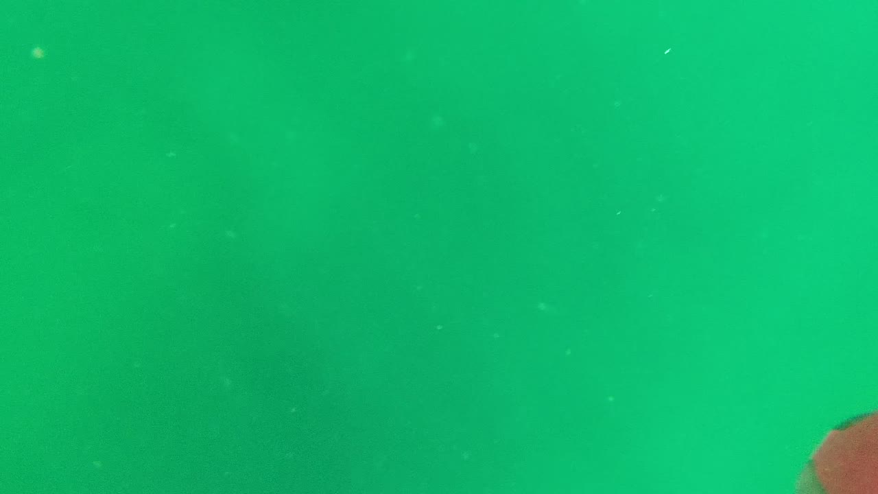 Green underwater view in Cabo Pulmo with a small cropped red and dark shape touching the right edge, no visible people.