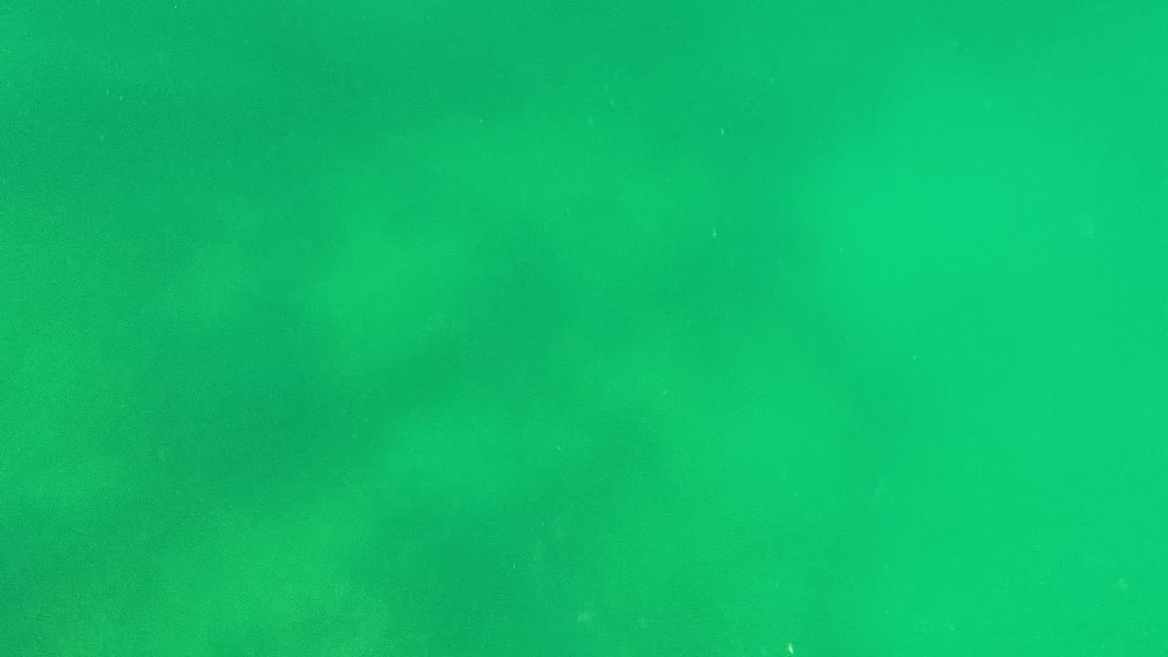 Opening underwater frame from Cabo Pulmo shows a green water field with soft darker patches in the distance and no visible people.