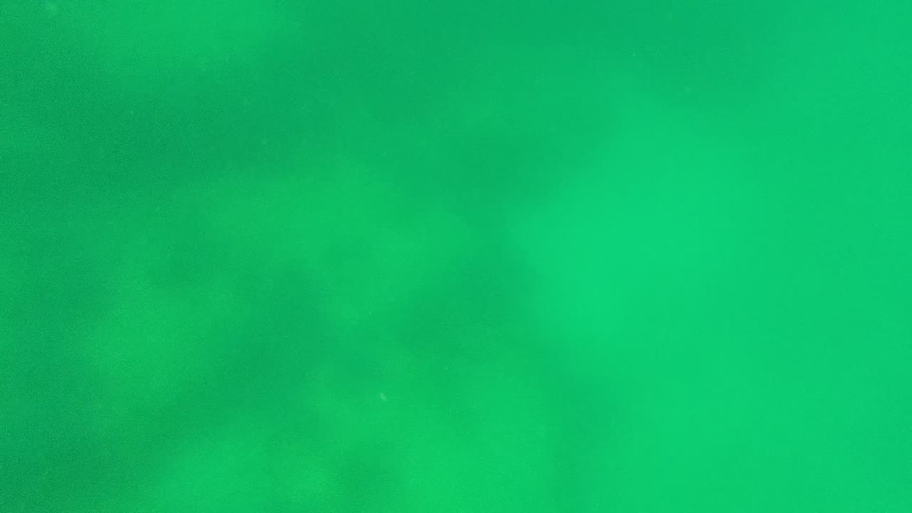 Cabo Pulmo underwater frame shows a denser cluster of bright bubbles rising near the center against hazy green water, with no visible people.