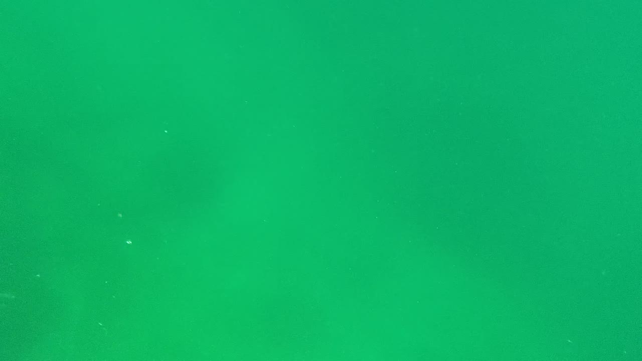 Opening underwater view in Cabo Pulmo, Mexico, with clear green water, tiny white particles, faint dark seabed forms below, and no visible people.