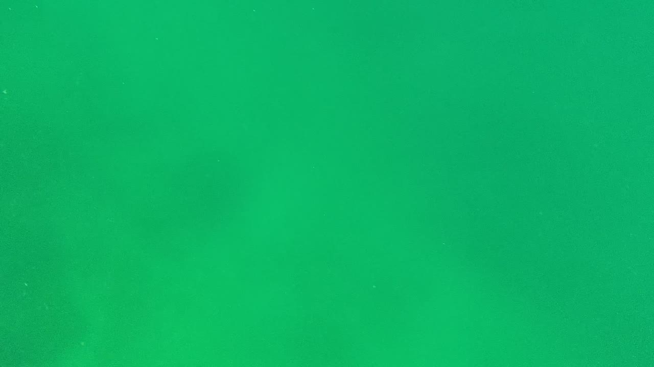 Clear green water with small white specks and soft darker forms underneath.