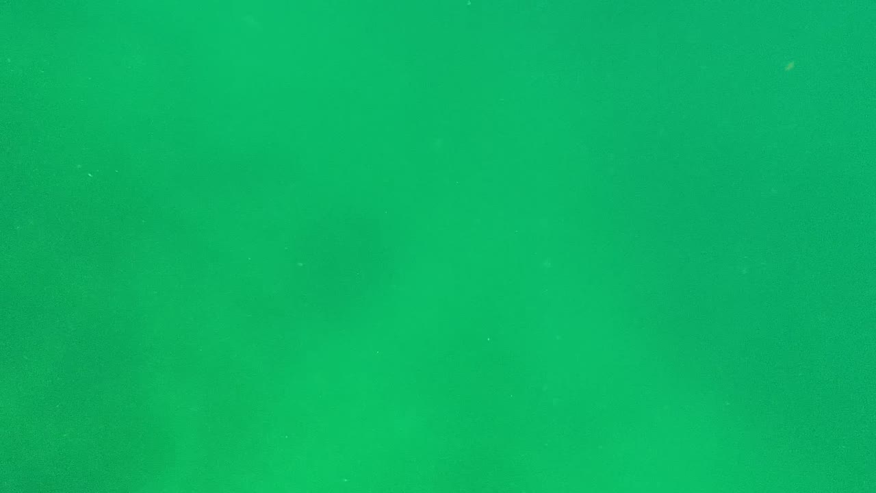 Mid-clip underwater view in Cabo Pulmo with green water filling the frame, faint seabed texture low in the image, small particles, and no visible people.