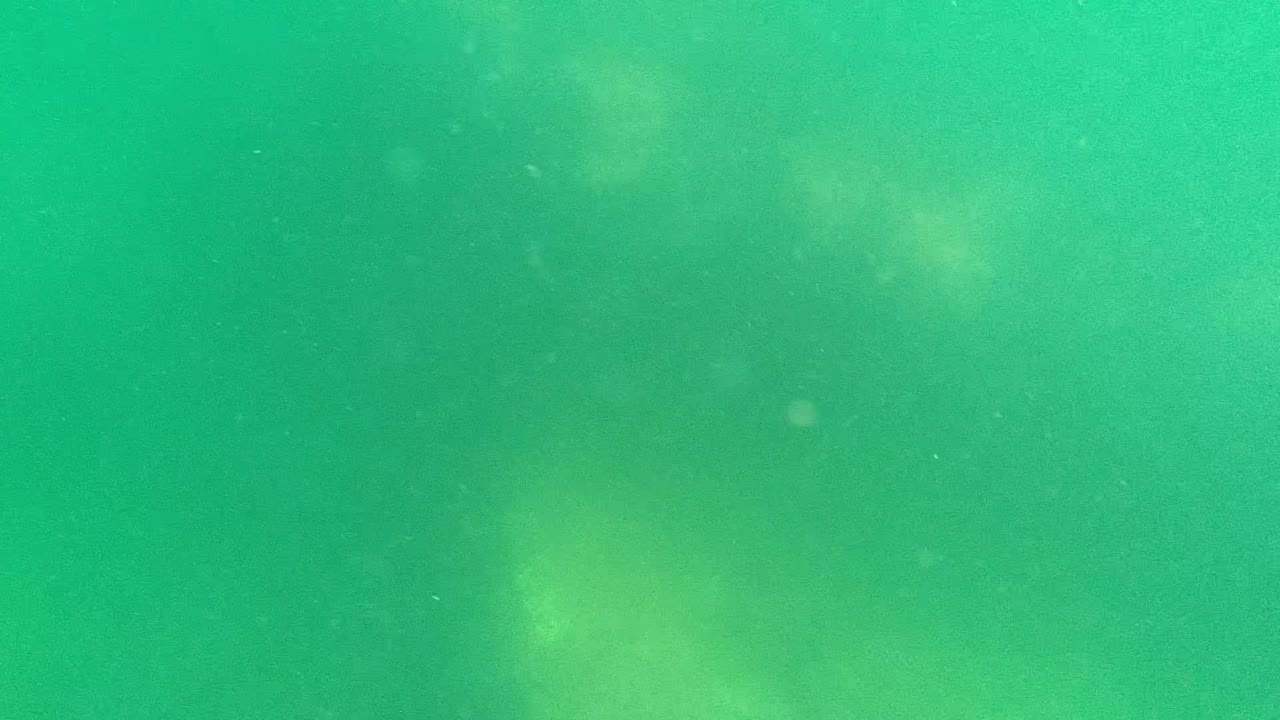 Opening underwater frame from Cabo Pulmo, Baja California Sur, Mexico, showing green water, faint cloudy light, suspended particles, and no visible people.