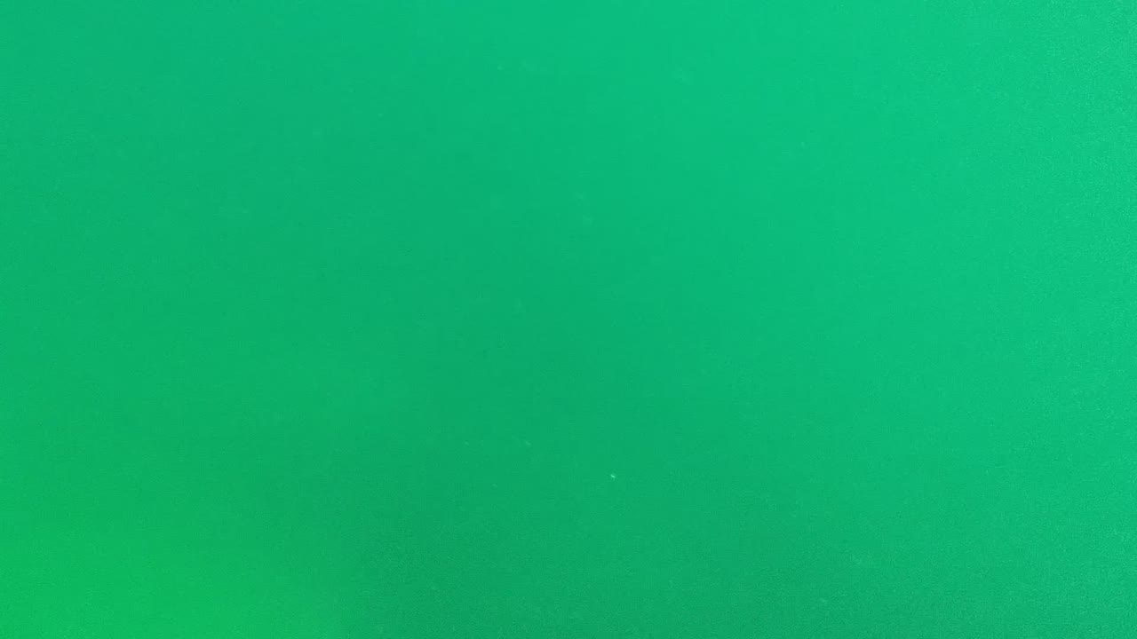 Murky green water with small bubbles and drifting specks.